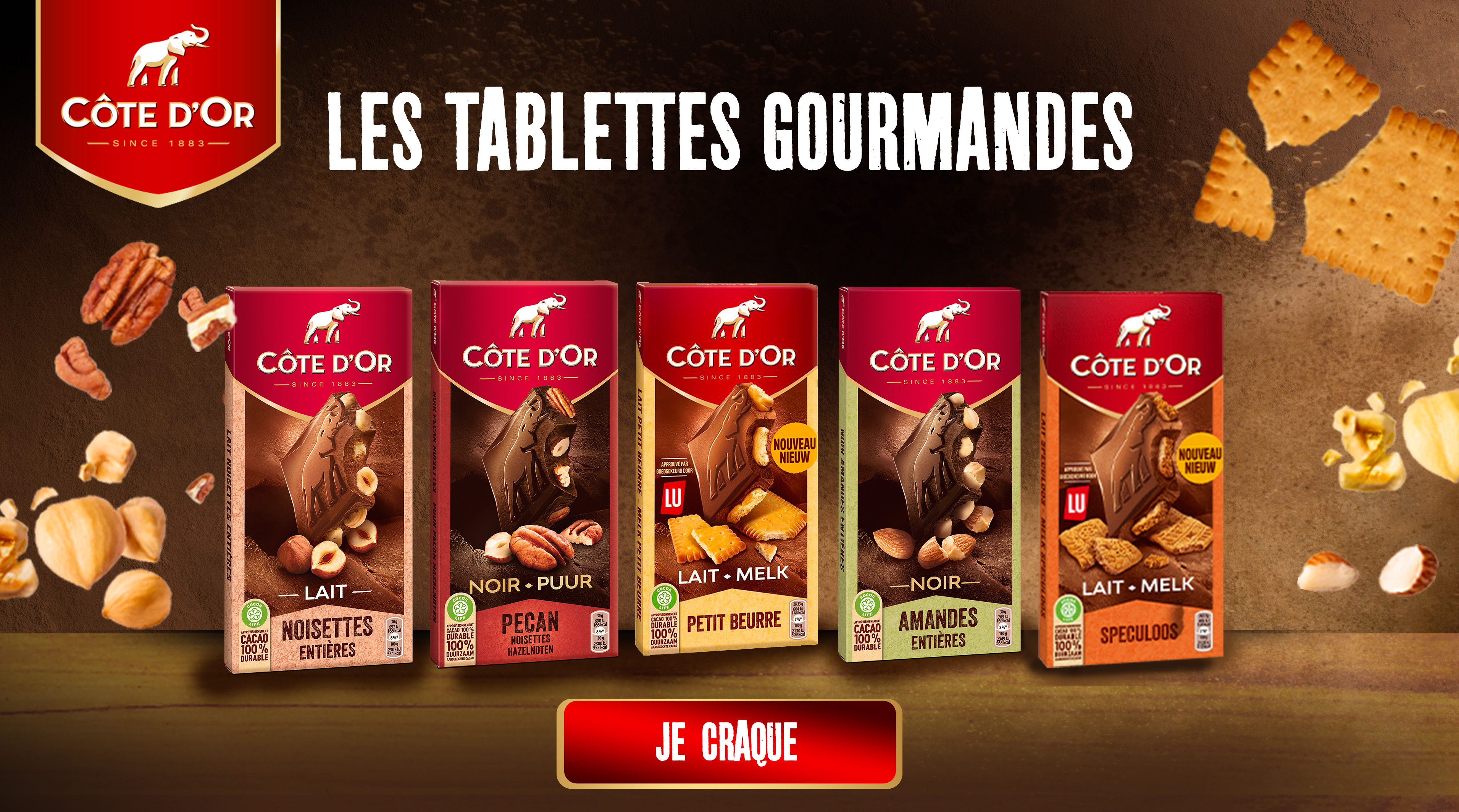tablettes de chocolat cote d'or