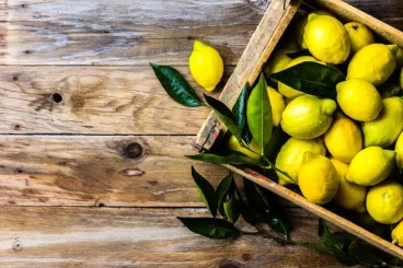 Le citron, l’agrume star pour votre cuisine et santé !
