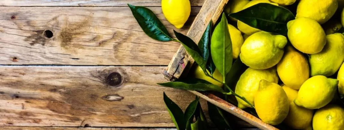 Le citron, l’agrume star pour votre cuisine et santé !
