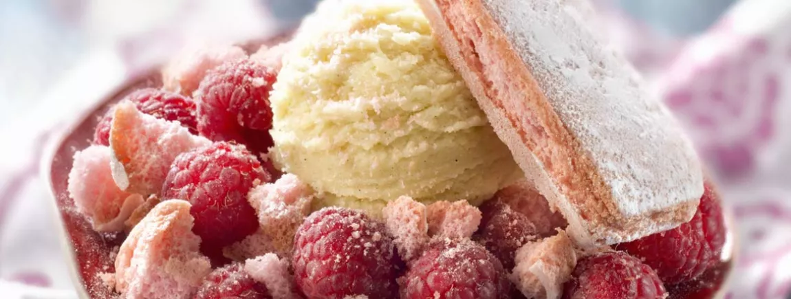 Entremets glacés aux biscuits roses et crème glacée