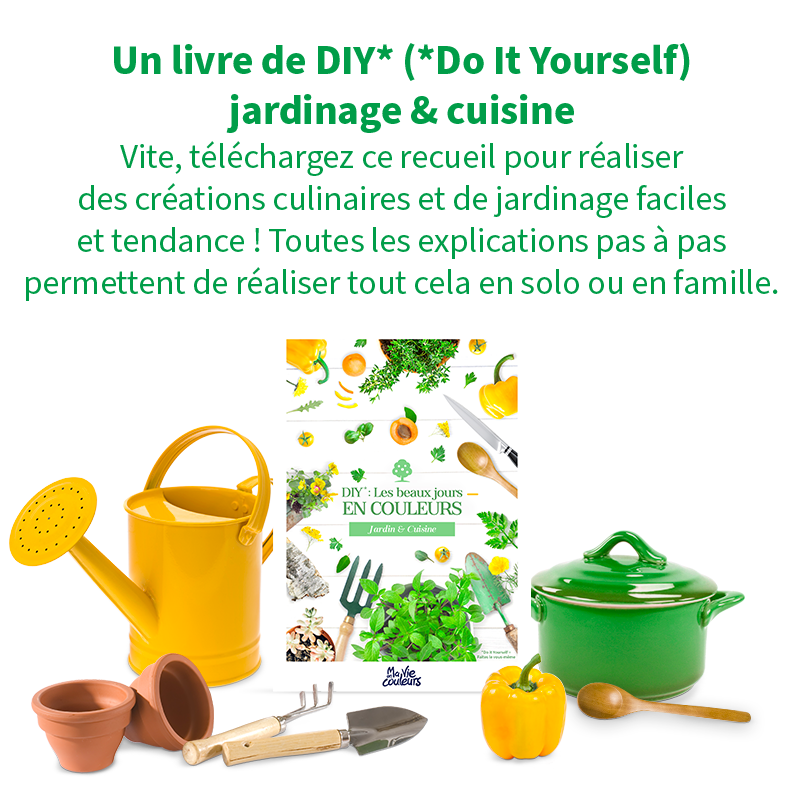 optin-livre-livre-recette