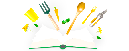 optin-livre-livre-recette