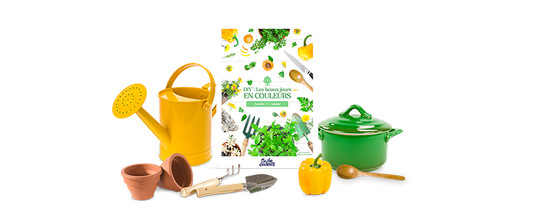 optin-livre-livre-recette