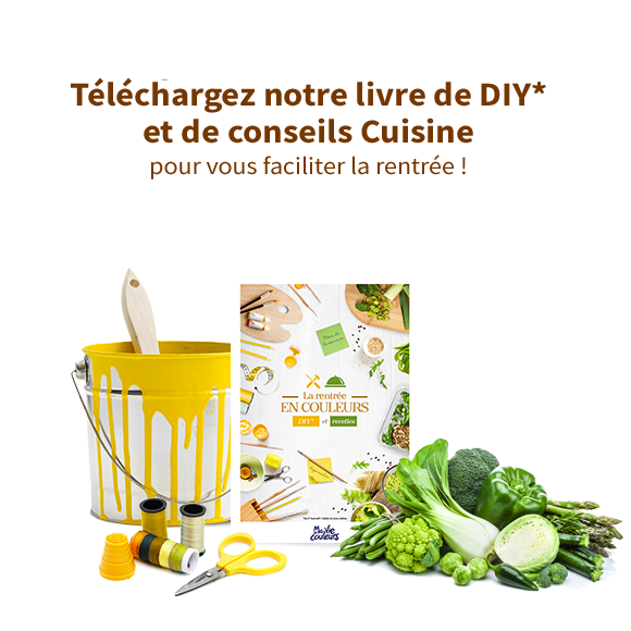 optin-livre-recette