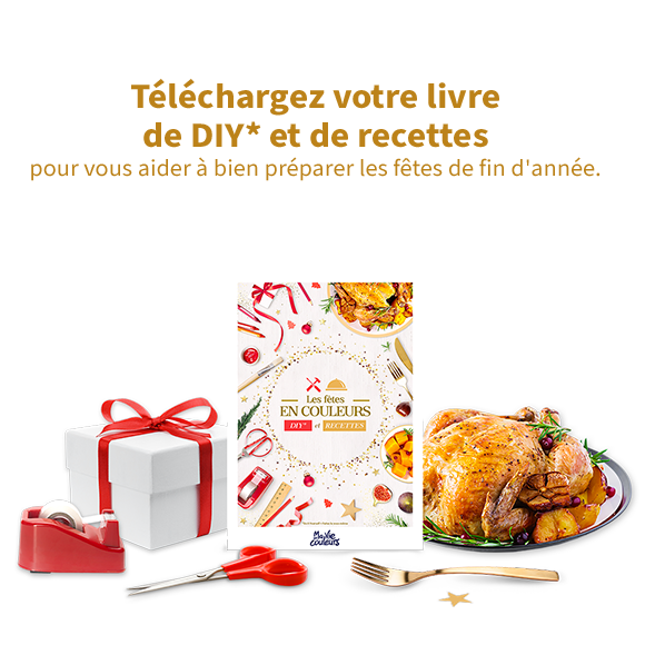optin-livre-recette