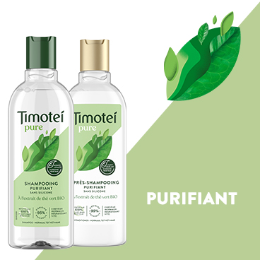 Timotei Purifiant