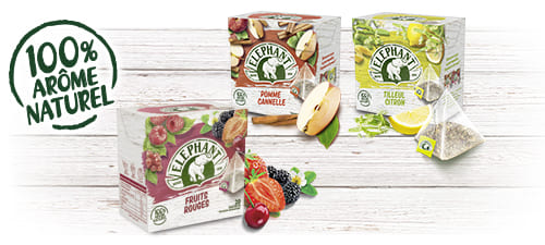 Infusions aromatisées aux fruits Eléphant