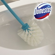 Domestos nettoyage toilettes bactéries
