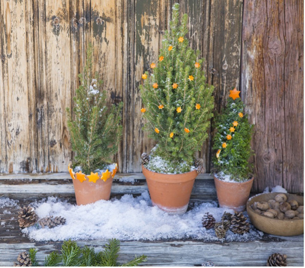 Mini-guirlandes en écorces d'orange