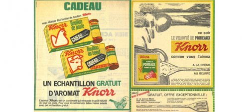 knorr 1950