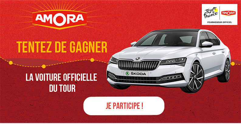jeu amora TDF