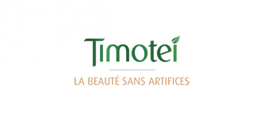 logo timotei sans artifice