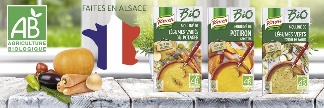 ban knorr