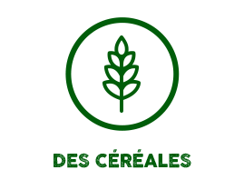 des céréales