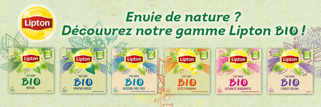 Boites thés bio