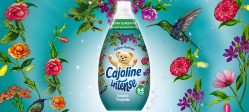 cajoline intense evasion