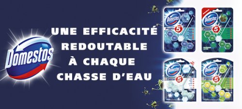 domestos bloc power