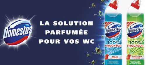 gels parfumé domestos