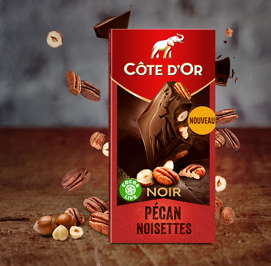 chocolat côte d'or noix de pécan