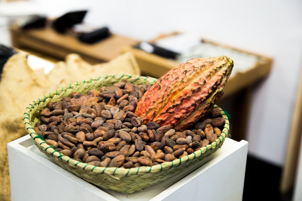 Un panier de fèves de cacao