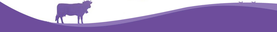 milka tablette