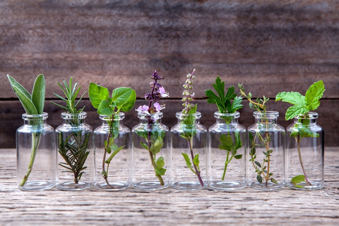 Des plantes qui servent à la préparation d’huiles essentielles