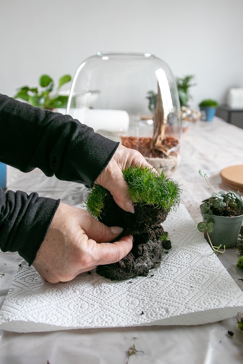 Une image contenant personne, plante d’intérieur, intérieur, herbeDescription générée automatiquement