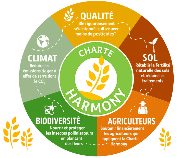 infographie