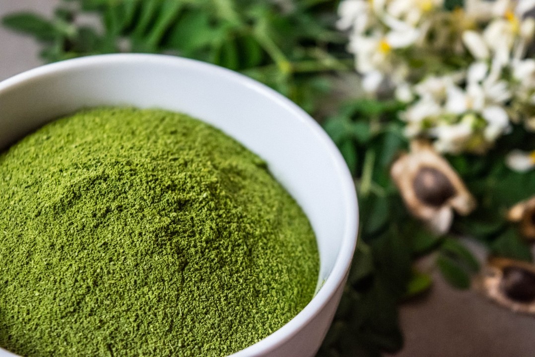 De la poudre de moringa dans un bol blanc, pour des recettes détox