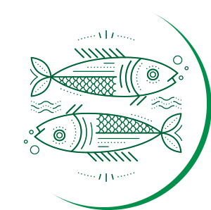 poisson