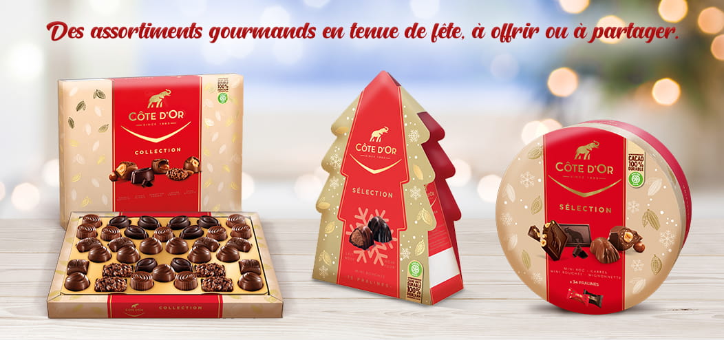 Quelles variétés de chocolats offrir à Noël ?