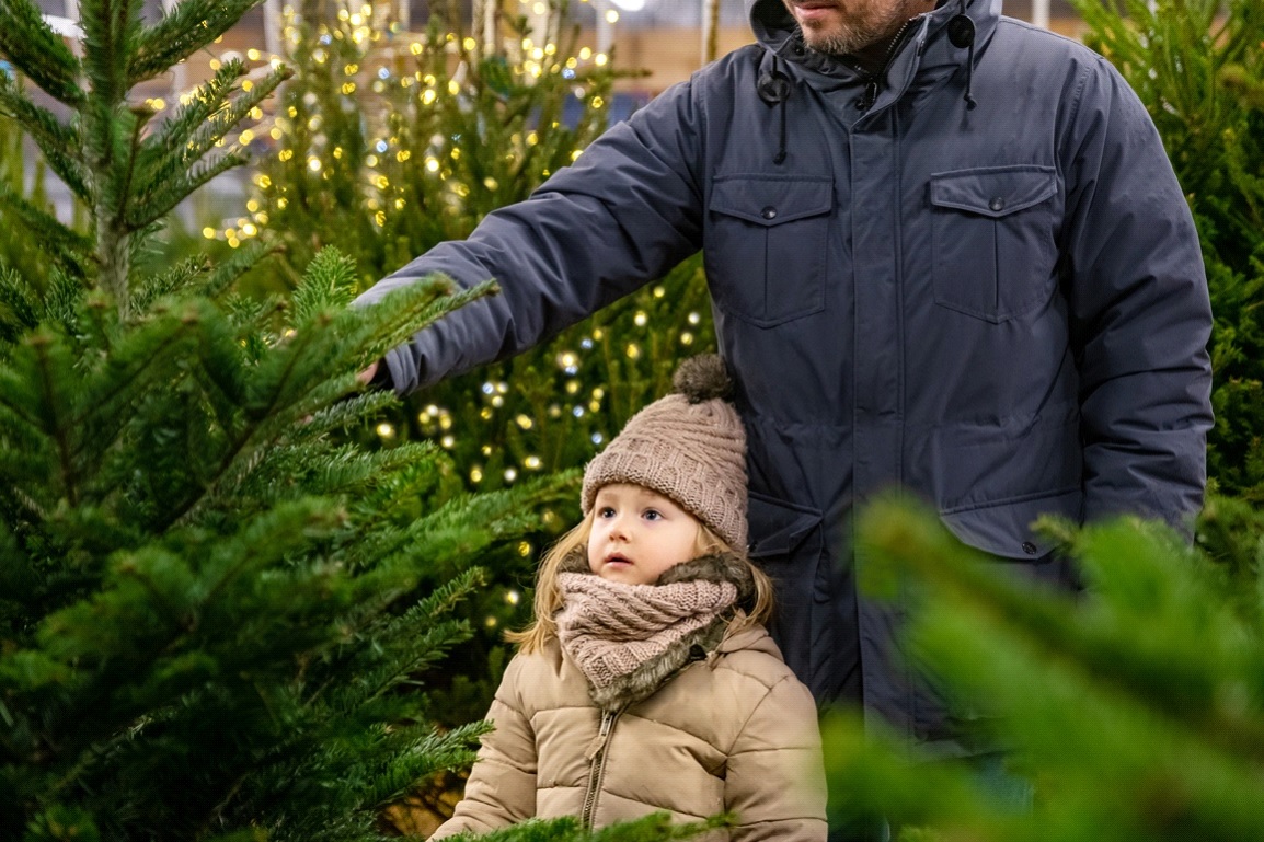 Choisir son sapin de Noël