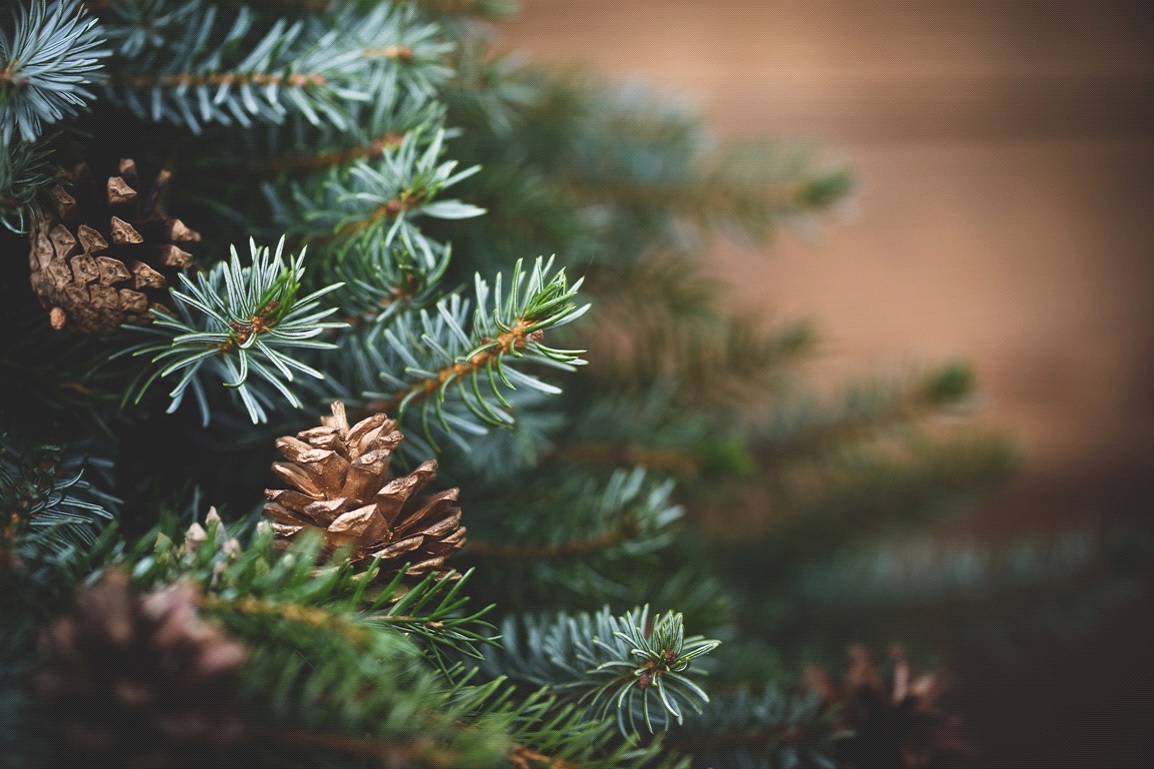 Une décoration naturelle pour le sapin de Noël