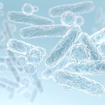 Zendium stimule le microbiome buccal