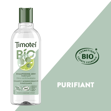  Timotei purifiant