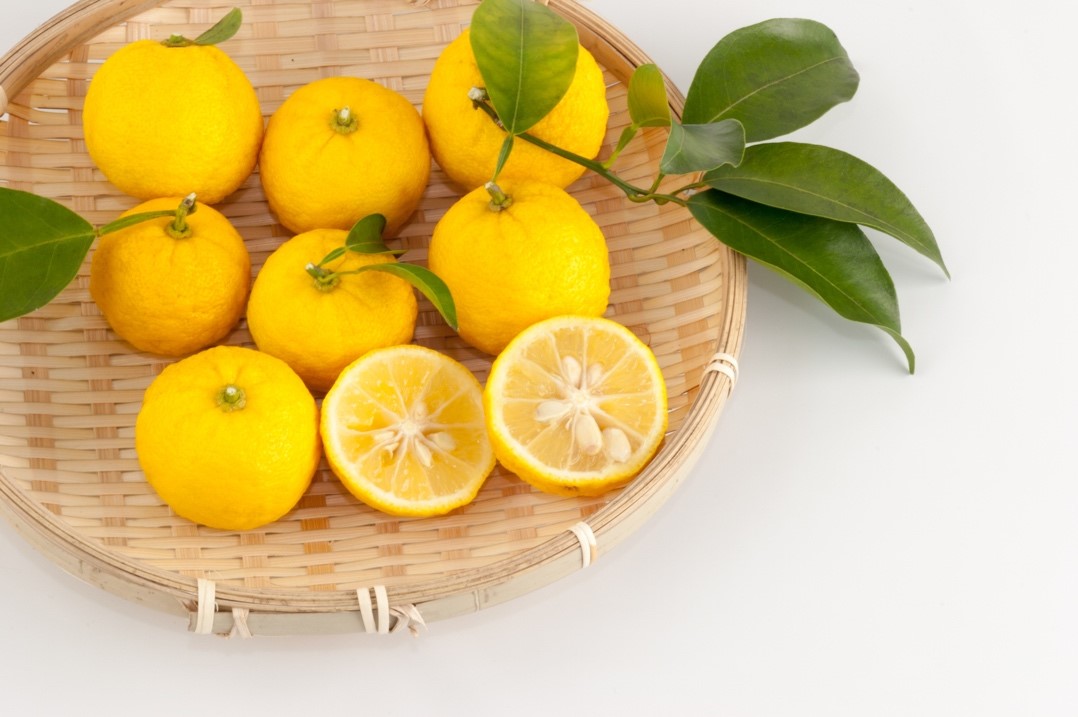 Des fruits yuzu jaunes entiers et coupés