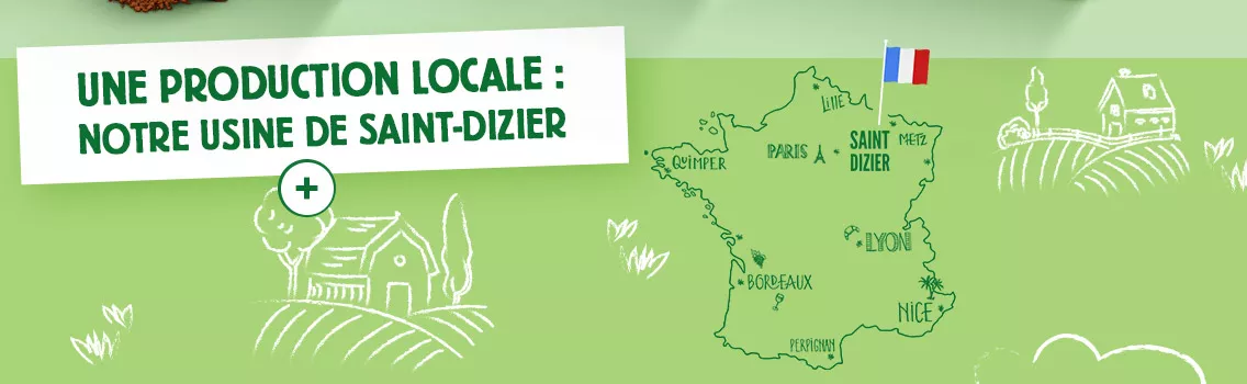 Carte d'Or crème glacées fabrication locale française Saint-Dizier