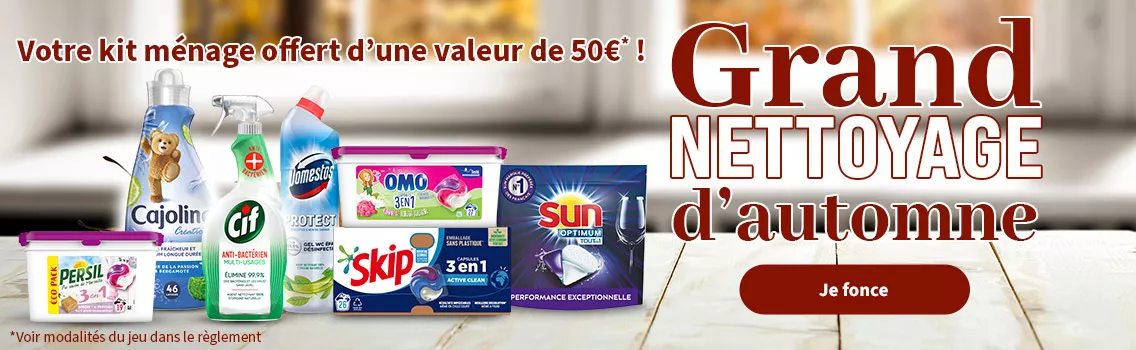 Nettoyage d'automne jeu Skip, Sun, Cif, Cajoline, Omo, Persil, Cif, Domestos