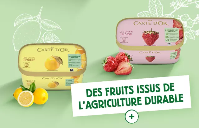 Carte d'Or crème glacées sorbets fruits agriculture durable