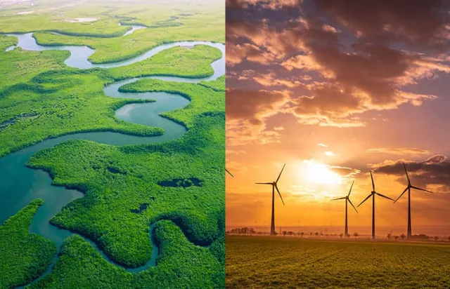 Deux visuels présentant la nature et des éoliennes
