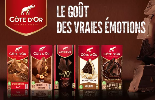 Chocolat au lait noisettes entières COTE D'OR