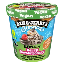 Ben & Jerry’s Sundae Berry Revolutionary