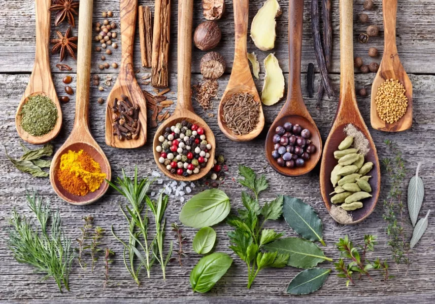 Une sélection d’épices et d’herbes disposées sur des cuillères en bois