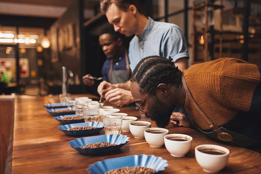 Un groupe de gens testent et dégustent du café lors d’une séance de cupping