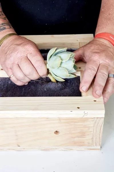 Un bricoleur qui crée un jardin suspendu