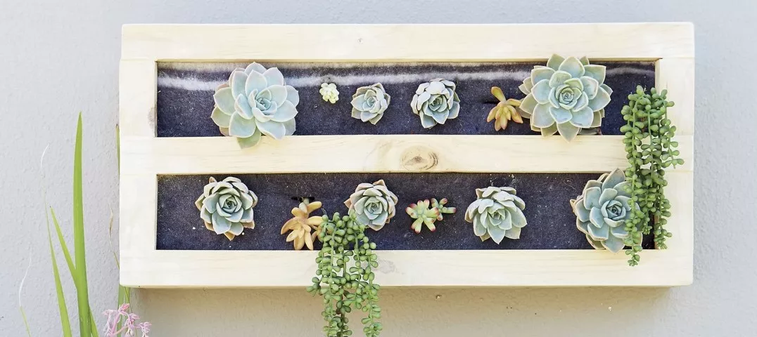 Un jardin vertical suspendu facile à réaliser