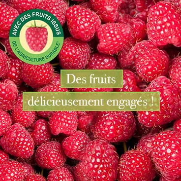 Carte D'Or_Fruits durables