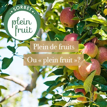 Plein de fruits ou "plein fruit"