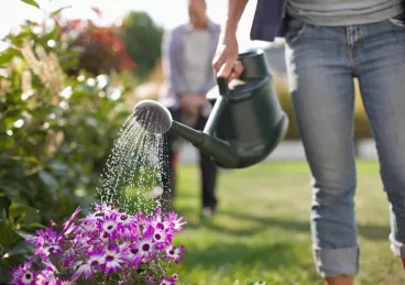 Une femme arrose les plantes de son jardin