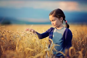 Une petite fille dans un champ de blé
